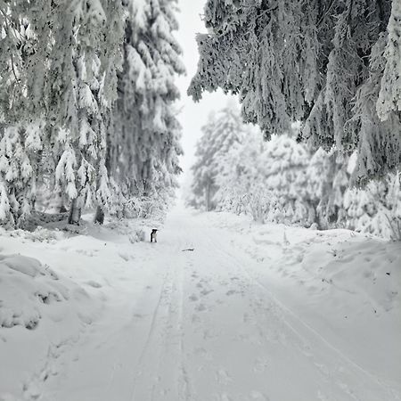 Chata Jeleni Drevenice S Vlastni Virivkou Horni Halze Exterior photo