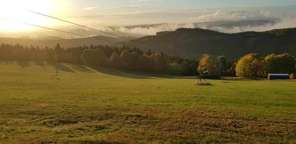 Chata Jeleni Drevenice S Vlastni Virivkou Horni Halze Exterior photo