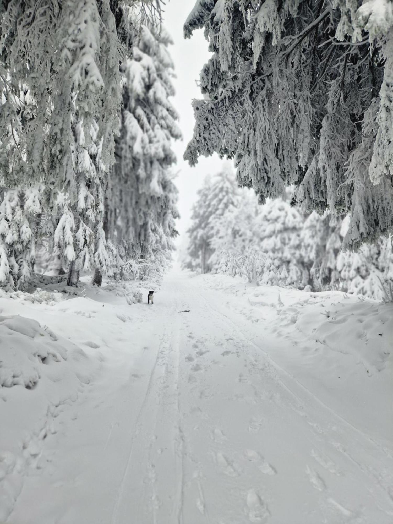Chata Jeleni Drevenice S Vlastni Virivkou Horni Halze Exterior photo